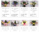 こだわりラッピングの種類が増加しました☆当農園のラッピングは約１００パターンご用意しております。