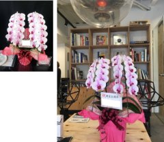 【開店20周年のお祝い】とても素敵なお花で、先様にも大変喜んでいただきました。
