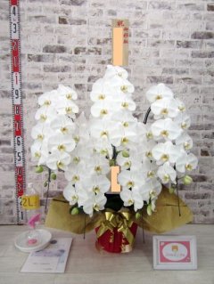 【移転祝い】発送前のお写真の送付及び発送のご手配を頂きまして 有難う御座いました。  