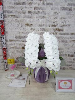 【お供え】めちゃくちゃ綺麗な、立派な花だよ、とのことでした。