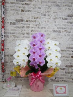 【新築・新設・竣工祝い】大変喜んでくださいました
