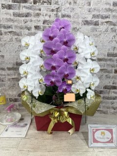【就任祝い】1本ずつが鉢に入っていることをお伝えすると 「すごいですね！！」と、仰って頂けました。
