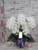 お客様の声を更新しました！