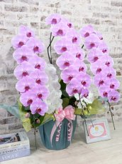 画像4: 【※大型送料3,800円】新商品！ハッピーシルキー　５本立＊薄ピンク・白＊（大輪）＜７つの特典付き！＞〈約高さ９５ｃｍ、横幅８５ｃｍ、奥行き５０ｃｍ〉70輪以上 (4)