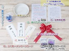 画像9: 【送料込み価格】☆鉢も楽しむ！7種の『スクエア鉢』☆純白の白が美しい！定番の白大輪胡蝶蘭＊角鉢＊１本立＊＜７つの特典付き！＞〈約高さ80ｃｍ、横幅25ｃｍ、奥行き35ｃｍ〉11輪以上＜squareシリーズ＞ (9)