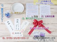 画像6: 【※大型送料3,800円】【上級　鳴滝清流こちょうらん　３本立】＊白＊（大輪）＜７つの特典付き！＞〈約高さ９５ｃｍ、横幅６５ｃｍ、奥行き５０ｃｍ〉40-43輪 (6)