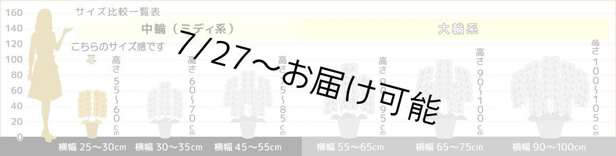 画像8: 【送料込み価格】☆ピンクのリップが愛らしいミディ系胡蝶蘭！『コンパクト＊乙姫（おとひめ）』＊２本立＊＜７つの特典付き！＞〈約高さ５５ｃｍ、横幅３５ｃｍ、奥行き３５ｃｍ〉22輪以上 (8)