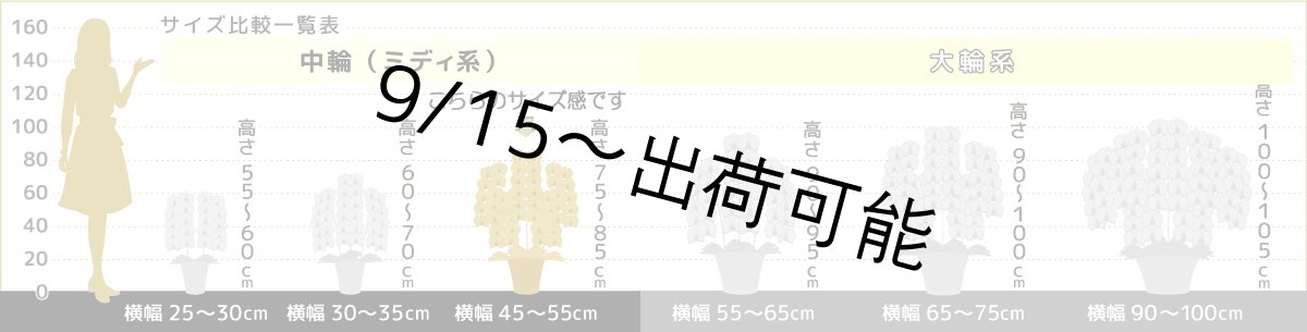 画像8: 【農林水産大臣賞受賞品種】ミディ系ピンク胡蝶蘭！『乙姫（おとひめ）』＊５本立＊＜７つの特典付き！＞〈約高さ８０ｃｍ、横幅５０ｃｍ、奥行き５０ｃｍ〉８０輪以上 (8)
