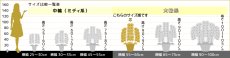 画像7: 【※大型送料3,800円】【上級　鳴滝清流こちょうらん　３本立】＊白＊（大輪）＜７つの特典付き！＞〈約高さ９５ｃｍ、横幅６５ｃｍ、奥行き５０ｃｍ〉40-43輪 (7)