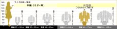 画像13: 【※大型送料3,800円】【スタンダード　鳴滝清流胡蝶蘭（なるたきせいりゅうこちょうらん）　５本立て】＊白＊（大輪）＜７つの特典付き！＞ 〈約高さ９５ｃｍ、横幅８０ｃｍ、奥行き６０ｃｍ〉56輪以上 (13)