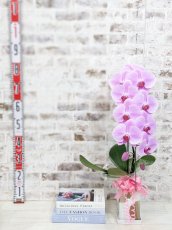 画像8: 【送料込み価格】☆鉢も楽しむ！7種の『スクエア鉢』☆華やかなピンク大輪胡蝶蘭＊角鉢＊１本立＊＜７つの特典付き！＞〈約高さ80ｃｍ、横幅25ｃｍ、奥行き35ｃｍ〉11輪以上＜squareシリーズ＞ (8)