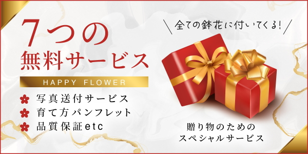 7つの無料サービス