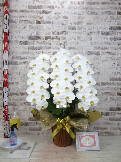 【御祝】いつもご対応が早く、 新鮮できれいなお花を贈る事ができありがたいです。